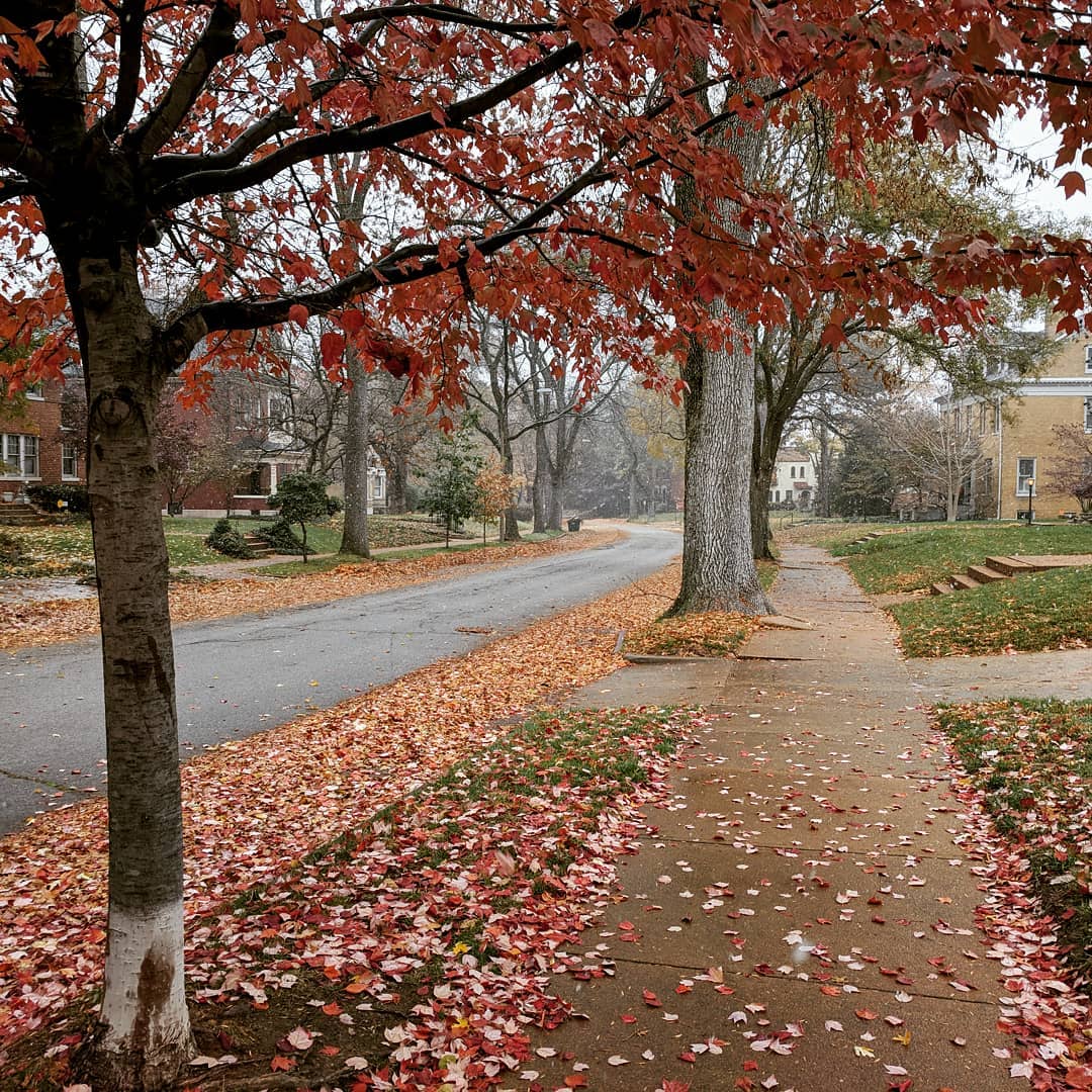 I think you can say I am a fan of living here #stlouis #comptonheights #citylife

And if you look carefully… Yes it’s snowing.