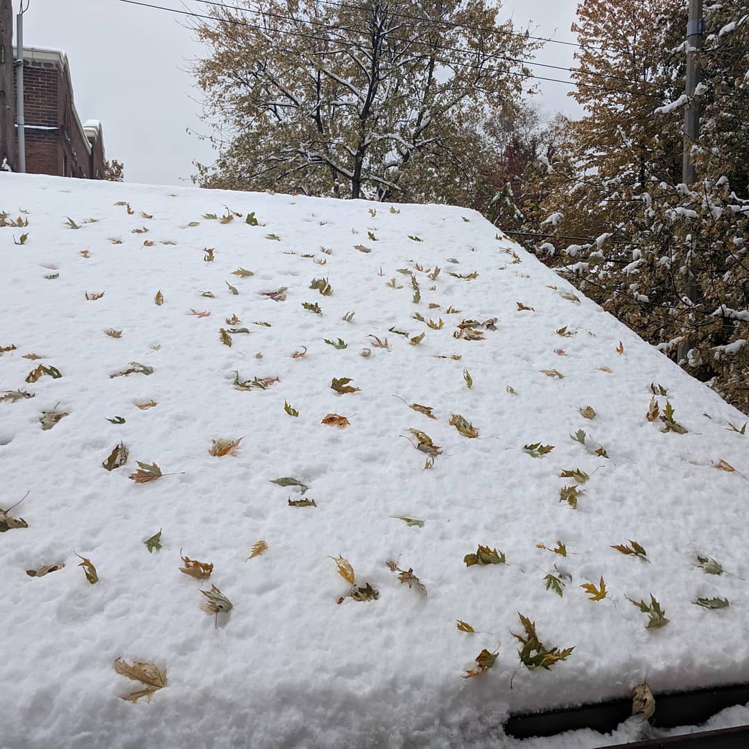 #stlouis where the snow hits the roof before the leaves have finished falling.

Where the heck is my Autumn, damnit?