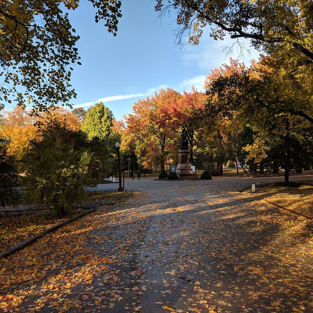 This time of year is just amazing when that sunlight catches the trees in Tower Grove Park #citylife #stlouis #fallcolors