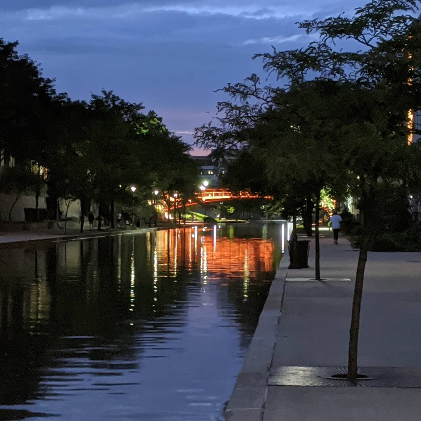 Definitely digging the evening colours out on the canal walk.