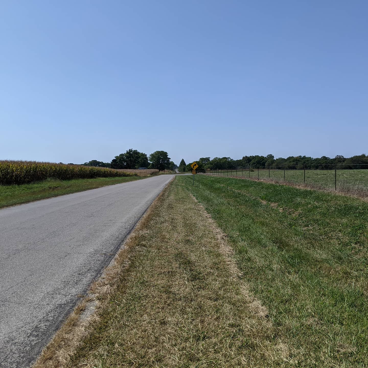 This is what a lot of old route 66 looks like in Illinois #roadtrip #route66This is actually one of the better stretches