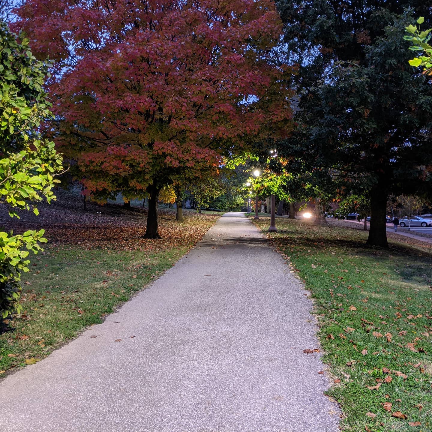 Compton Hill Reservoir Park after dusk. #stlouis #citylife