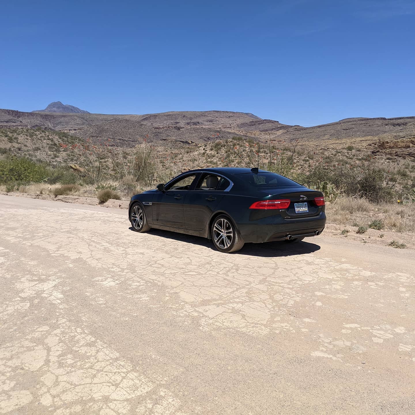 Well, I just had to didn't I? #phoenix #jaguar #mountaindrive