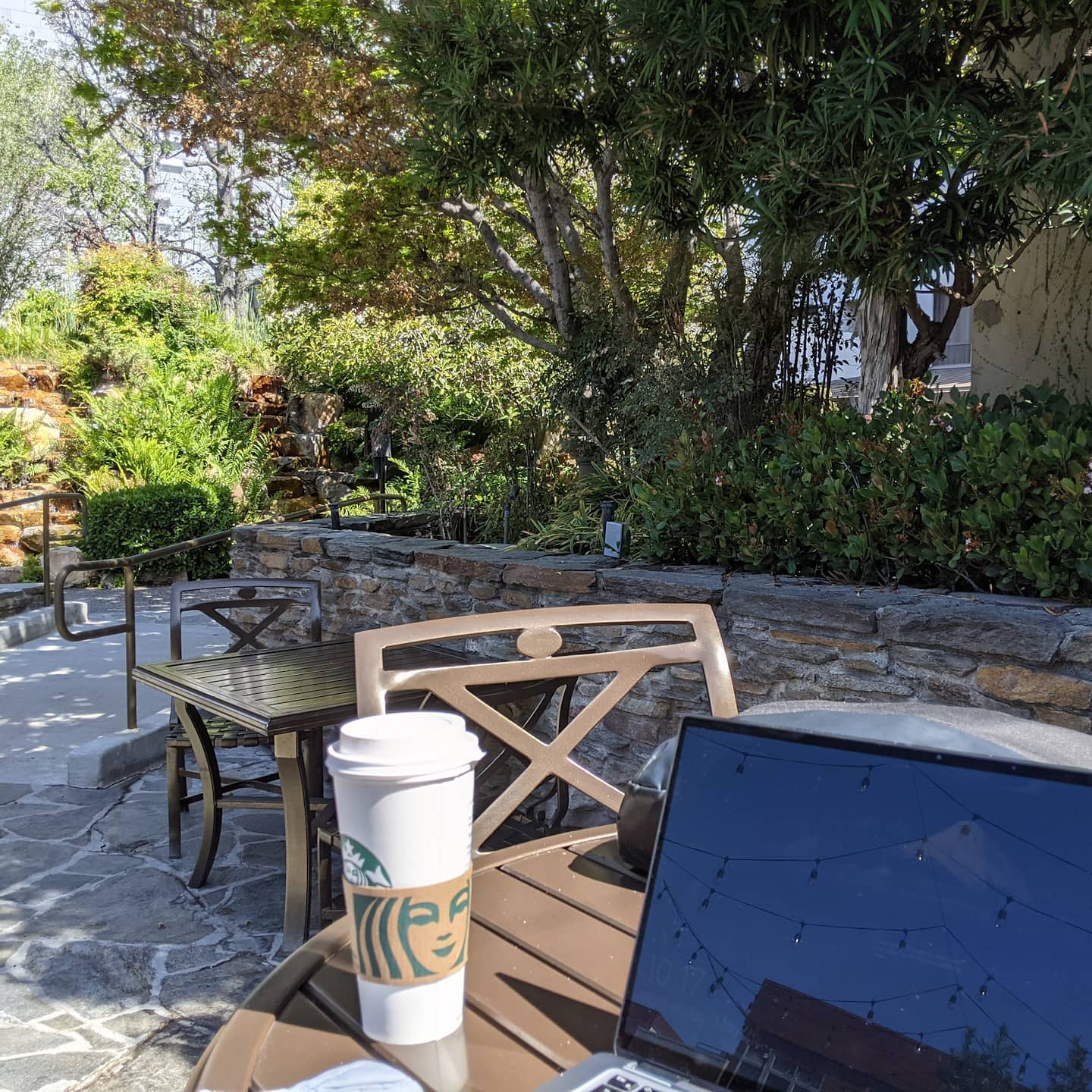 As work spaces go there are definitely worse places to sit #kyotogardens #losangeles #consultantlife