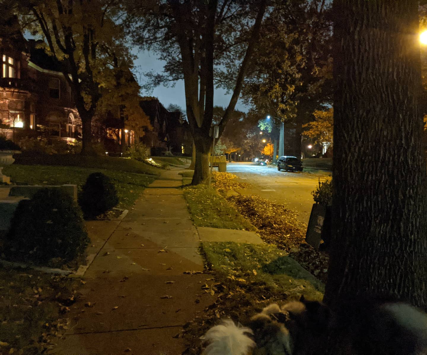 I do love walking through Compton Heights with the boys at this time of year.