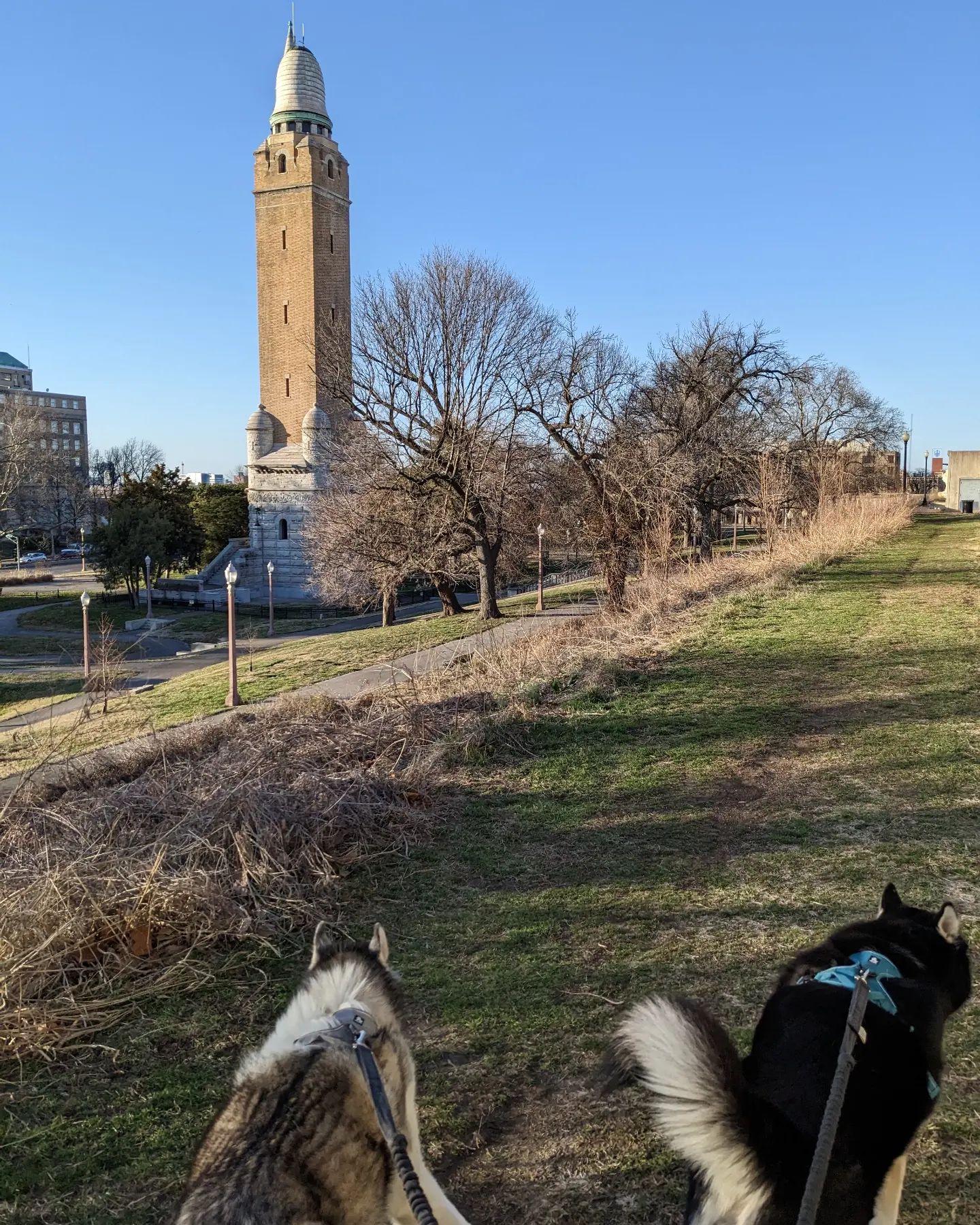 I love having such awesome places to walk my boys #stlnanuq #stlloki #stlouis