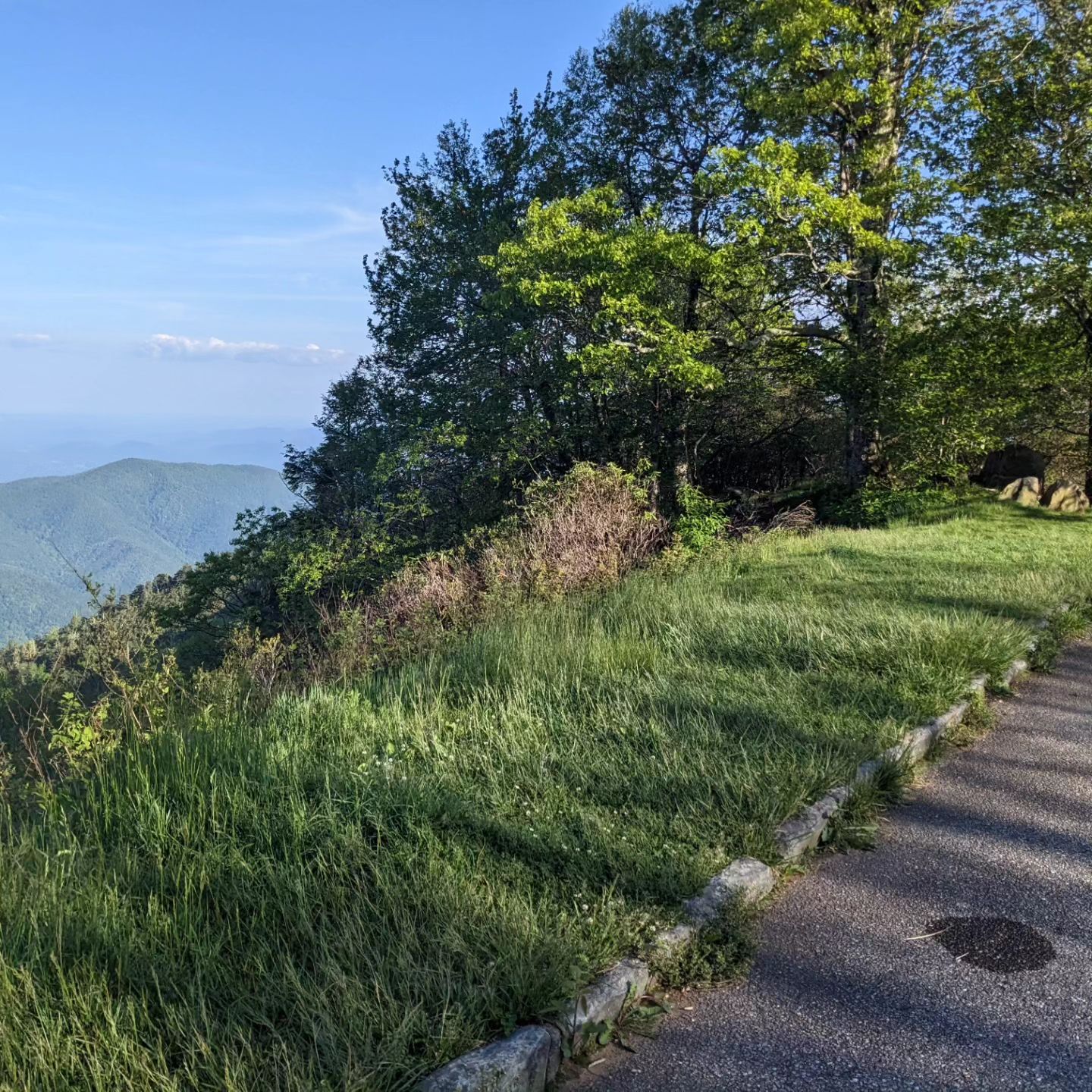 A semi random smash of pictures from today. I had 400 miles to do at ~45mph so there wasn't a huge amount of time to stop... #blueridgeparkway #motorrad #bucketlist #bucketlistadventures