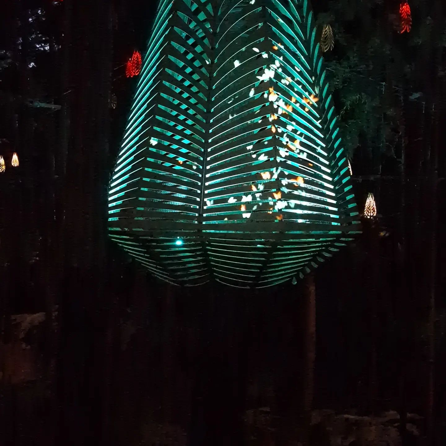 Night walk through the Redwoods Tree walk in Rotorua… The lights are so