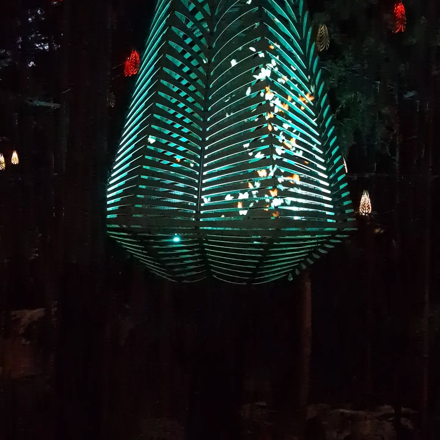 Night walk through the Redwoods Tree walk in Rotorua... The lights are so beautiful and made for a lovely end to the evening... #newzealand #redwoodstreewalkrotorua