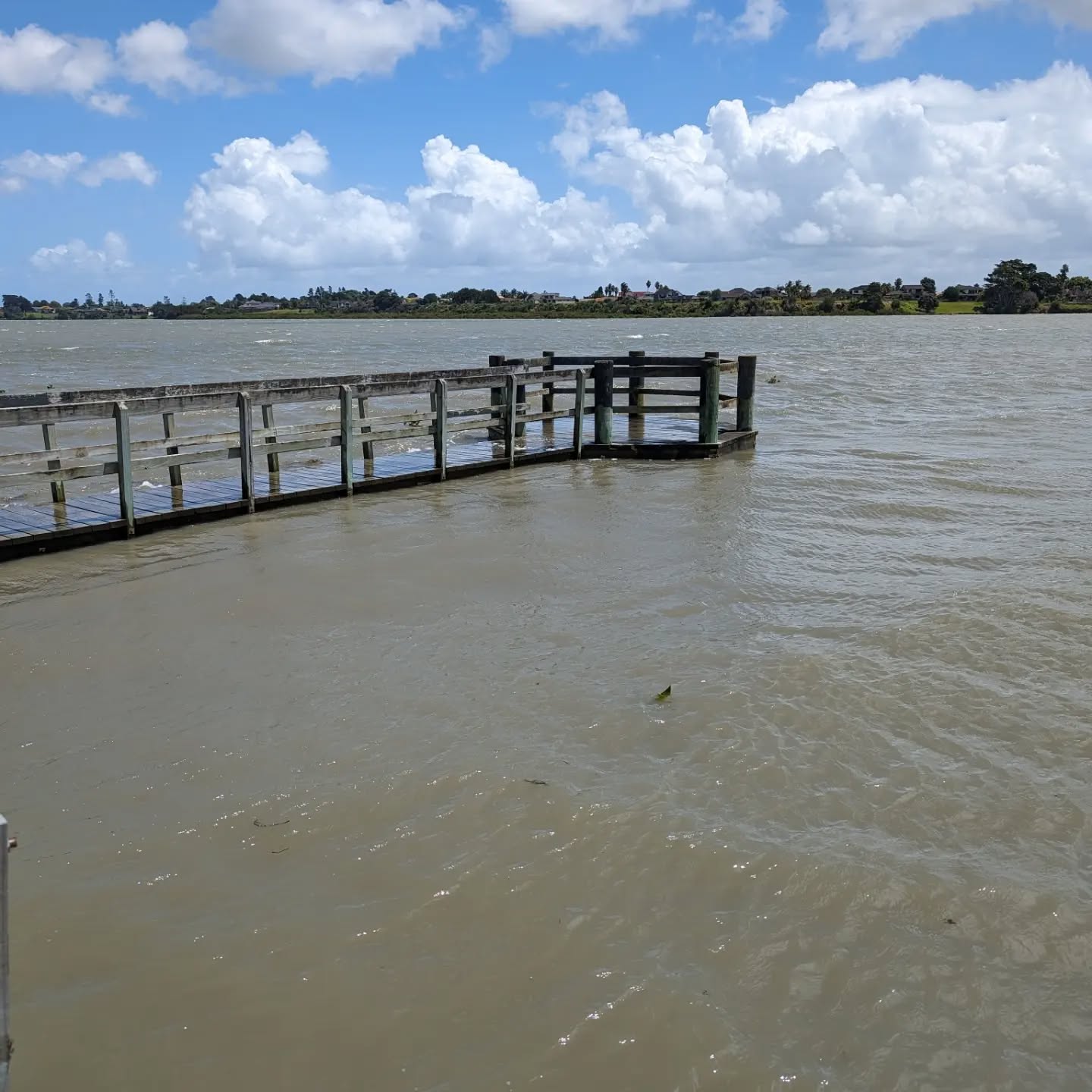 A quiet walk near my dad's house in Auckland #newzealand