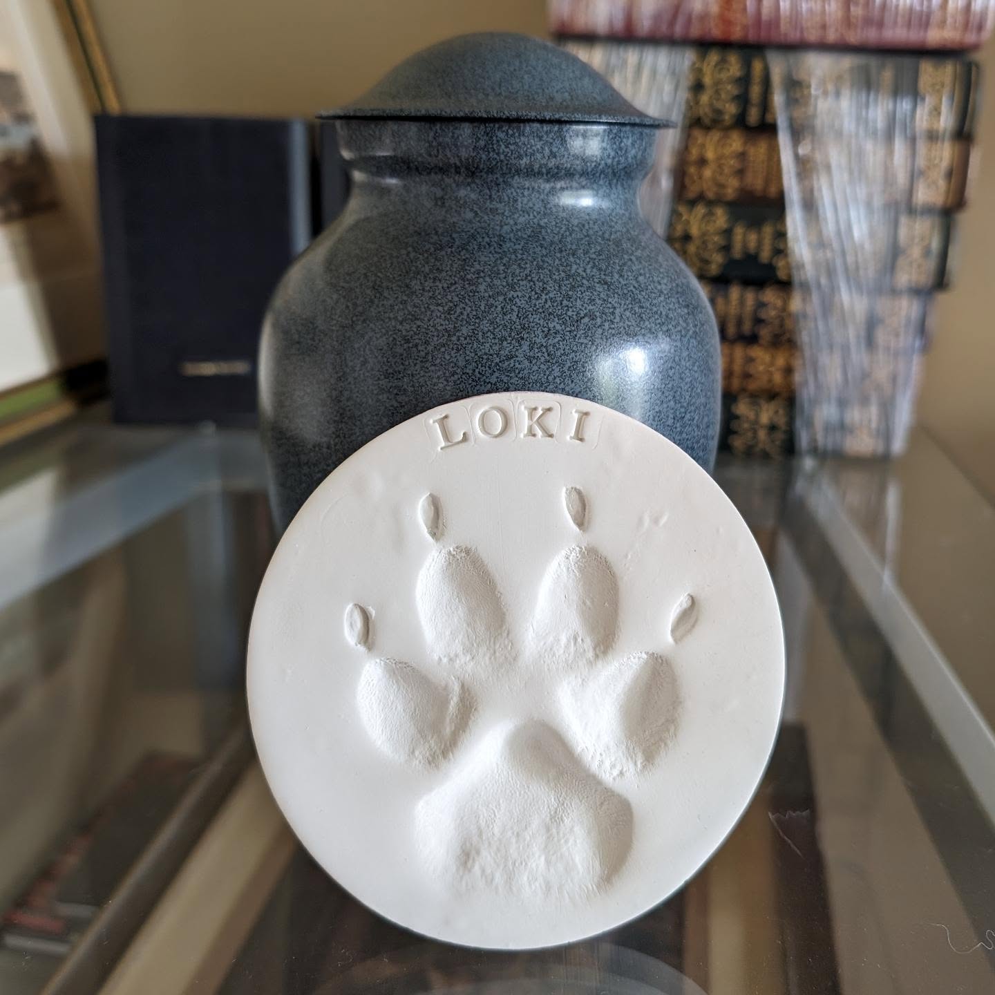 Well, I thought I was ready for Loki to come home. I wasn't.Sleep well my old friend. #stlloki